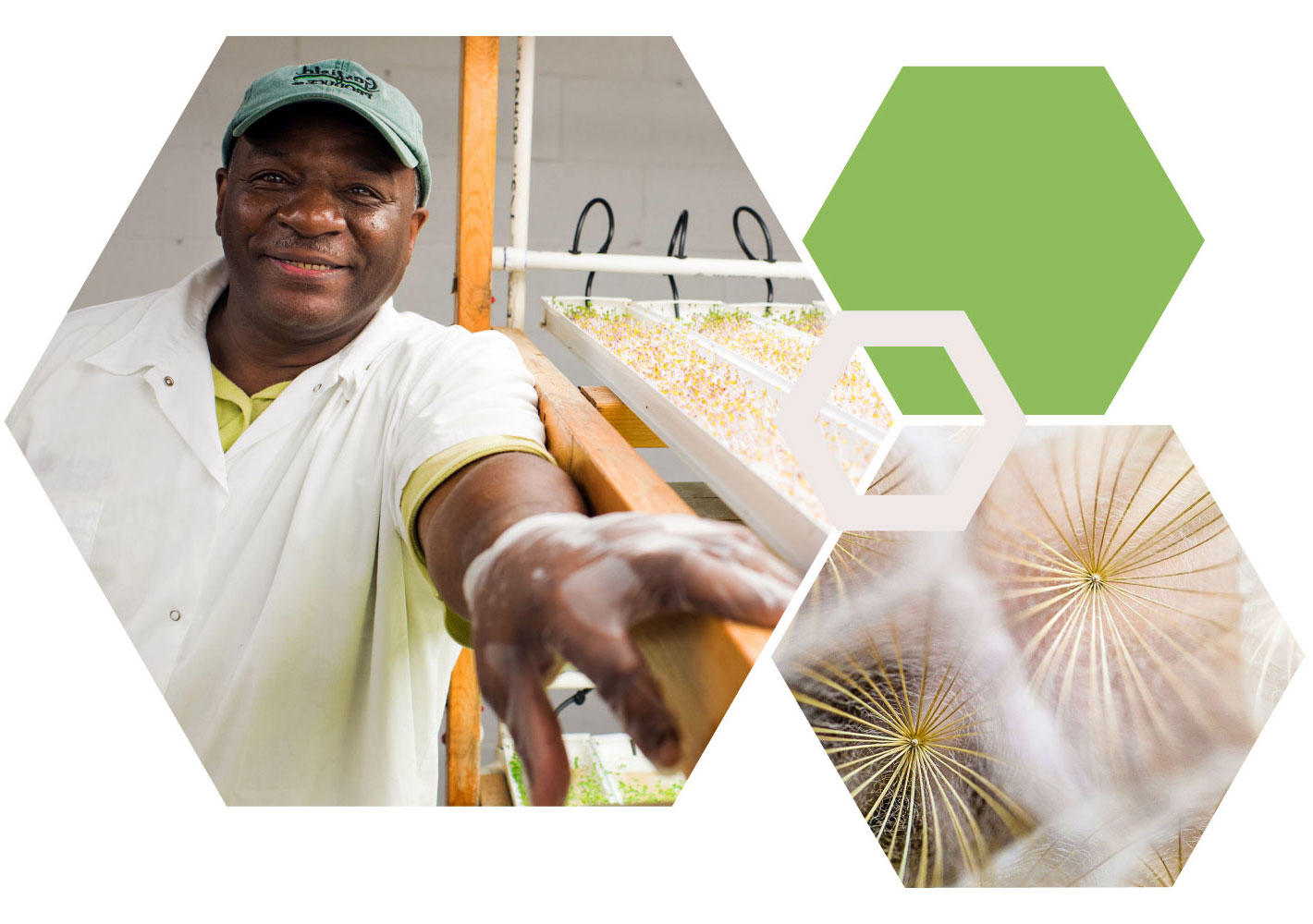 impact investment hex